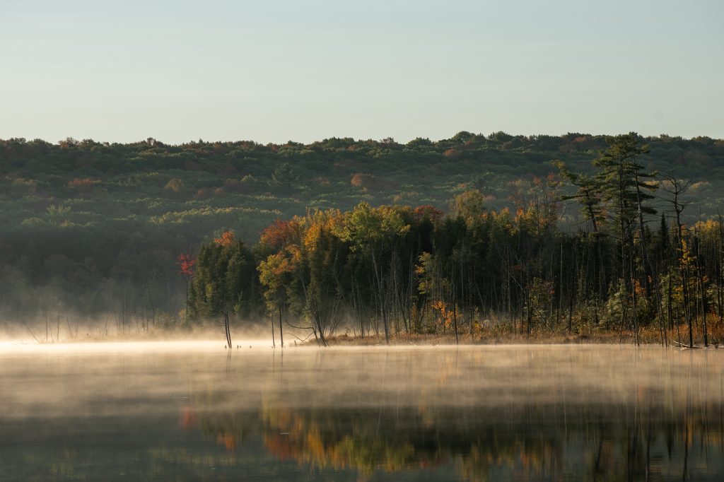 misty view of fall colours across lake