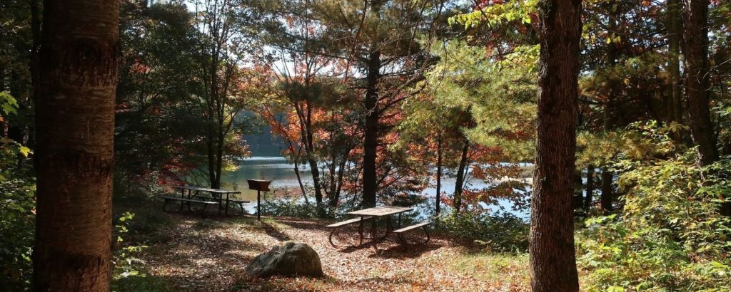 view of picnic table and barbecue in forested area near lake