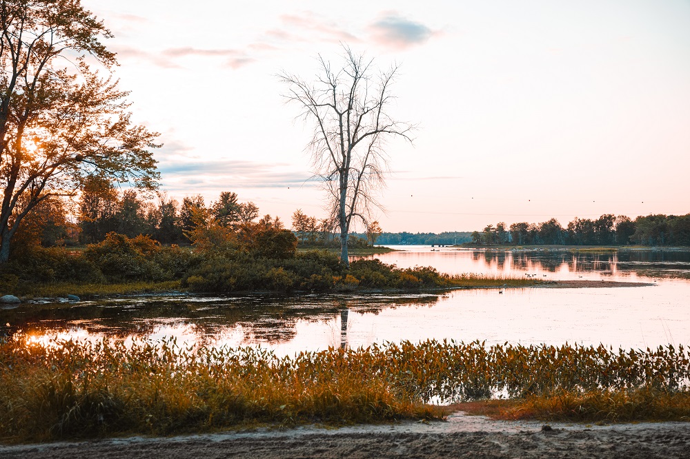 view of lake at sunrise