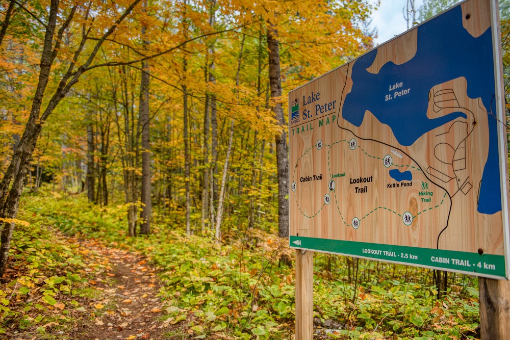 trail map at head of forest trail with fall colours