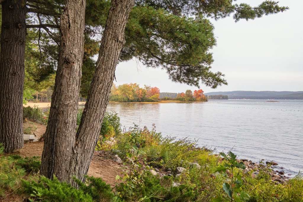 fall shoreline