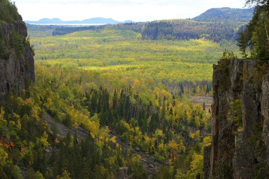 fall foliage and cliffs