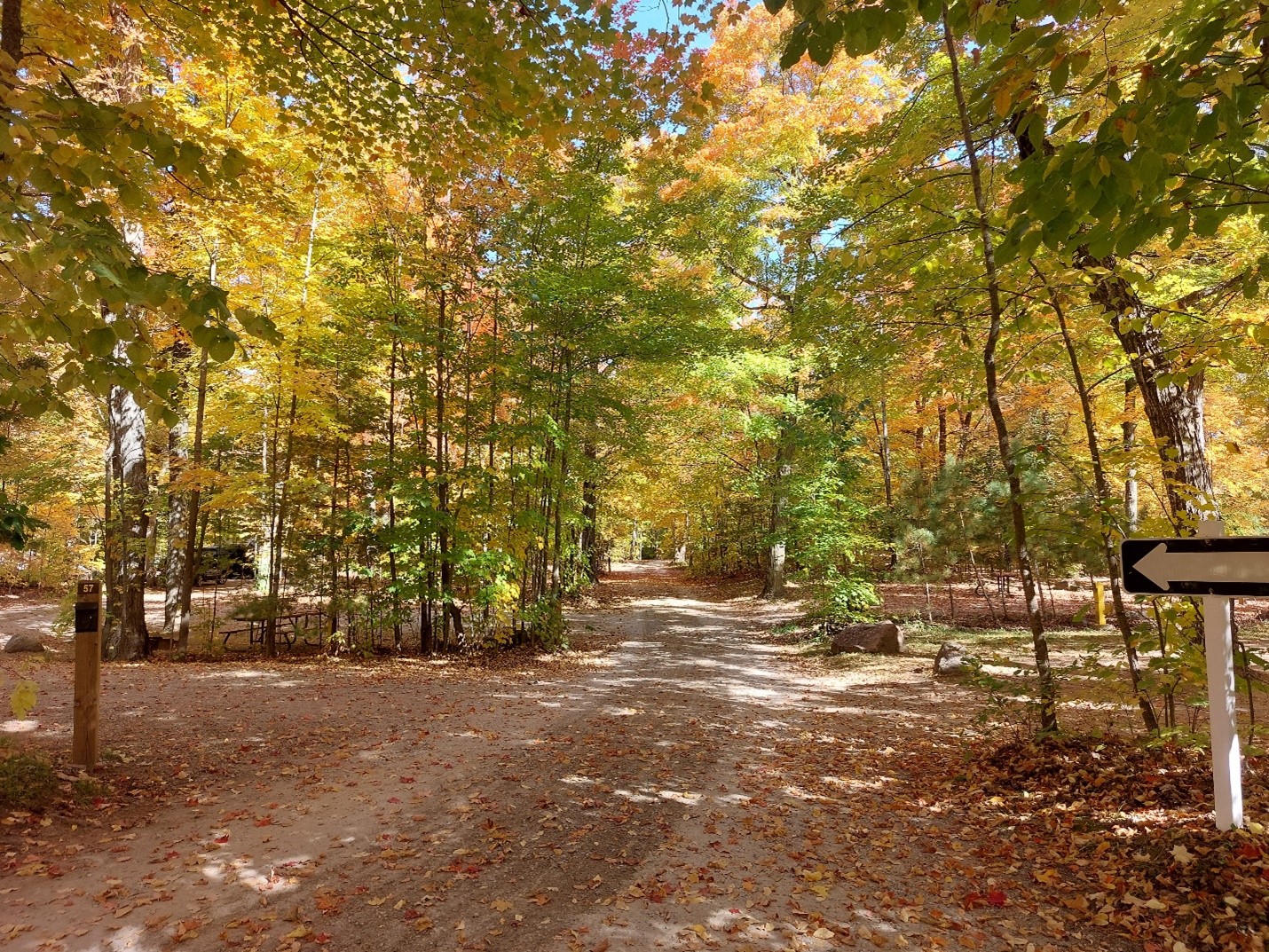 fall colours in campground