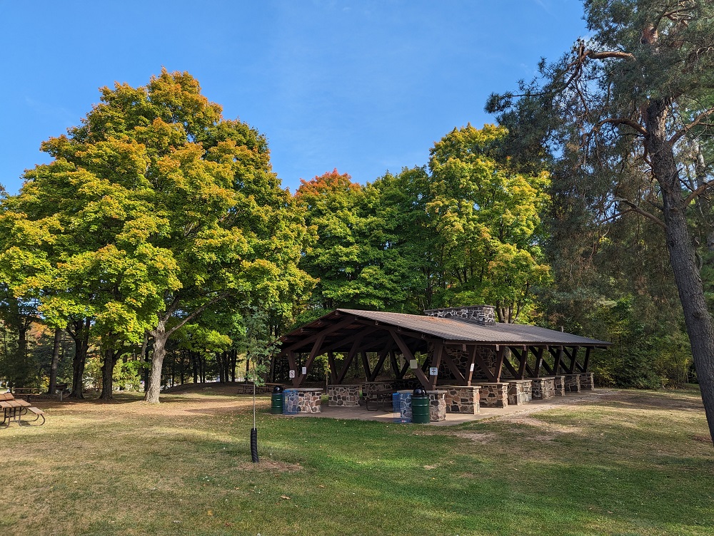 picnic shelter in grassy area with forest with light fall colours