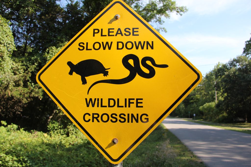 wildlife crossing sign. Text: please slow down. Wildlife crossing