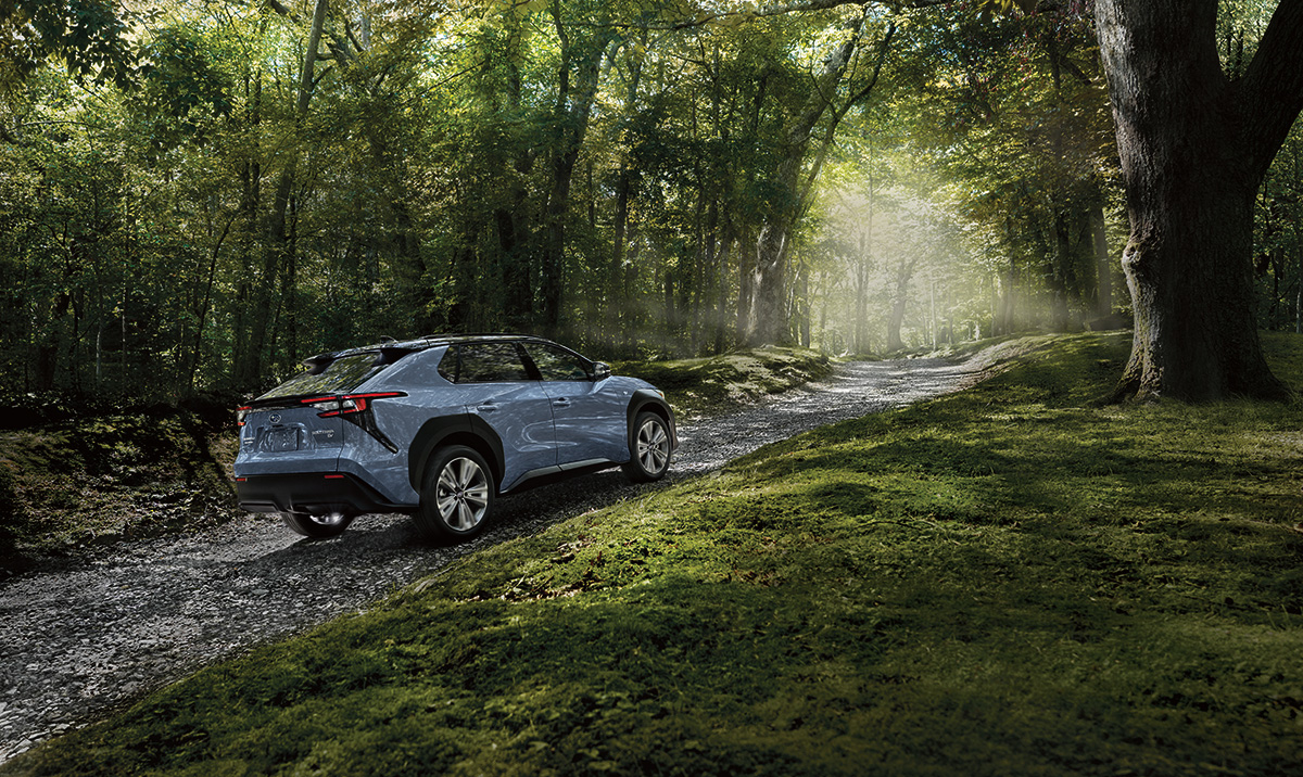 vehicle driving through forest