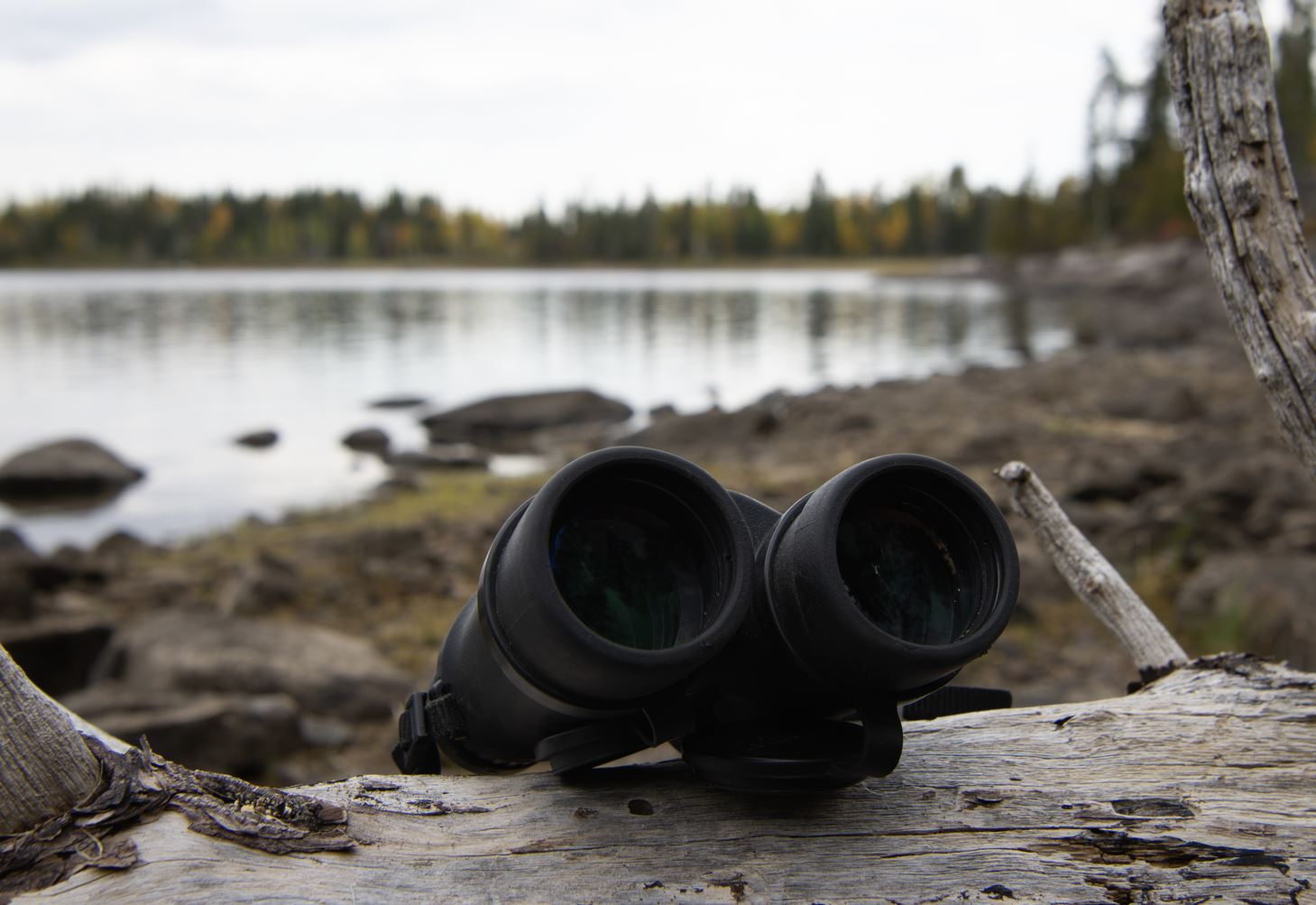 binoculars sitting on driftwood