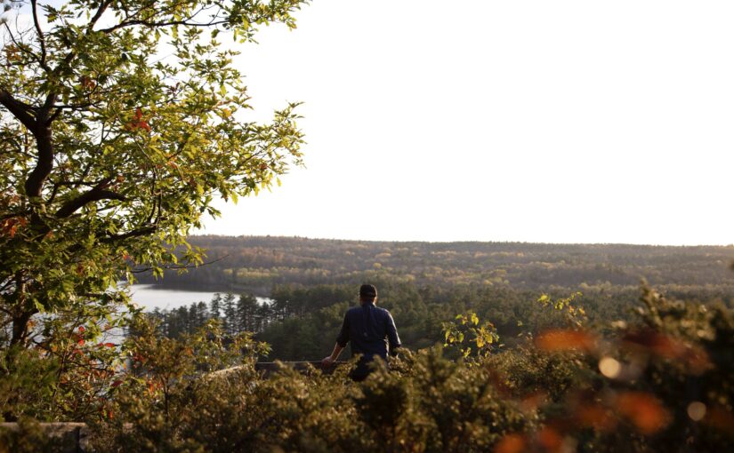 person looking out at fall colours