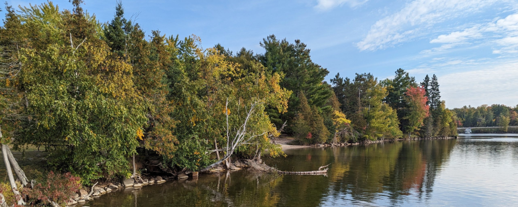 A still lake surrounded by trees starting to turn into fall colours