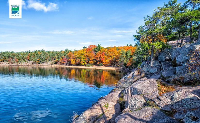 rocky shoreline with fall colours along lake