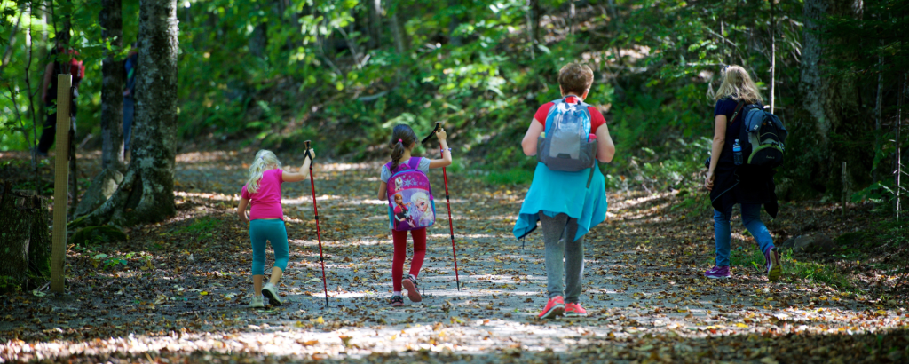 A group of kids and adults walking on a park road in early fall