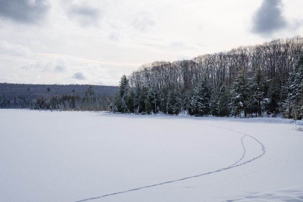 Snowy landscape with a trail of footprints across a frozen lake, flanked by a forest under a cloudy sky.