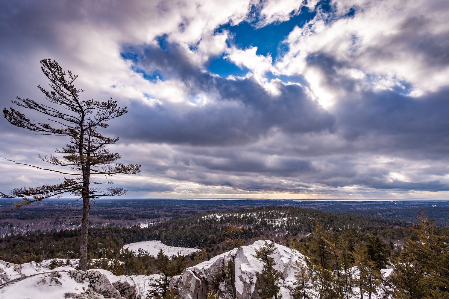 Windswept pine tree on a rocky ridge above a treed winter landscape