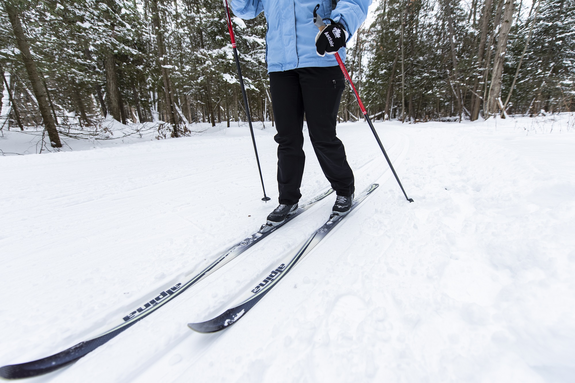 Person cross country skiing along a path in winter