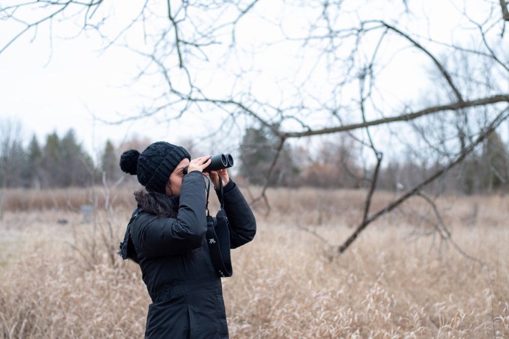 A person looking through binoculars as they bird nest to a wetland in late fall