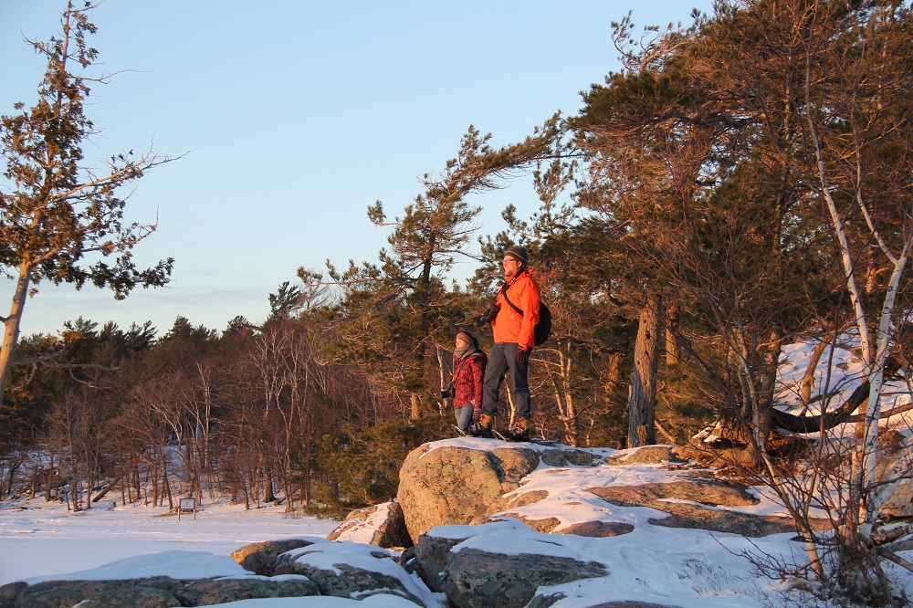 two snowshoers looking out at landscape