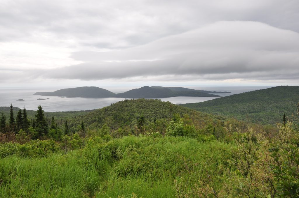 view of misty island from green hilly shore