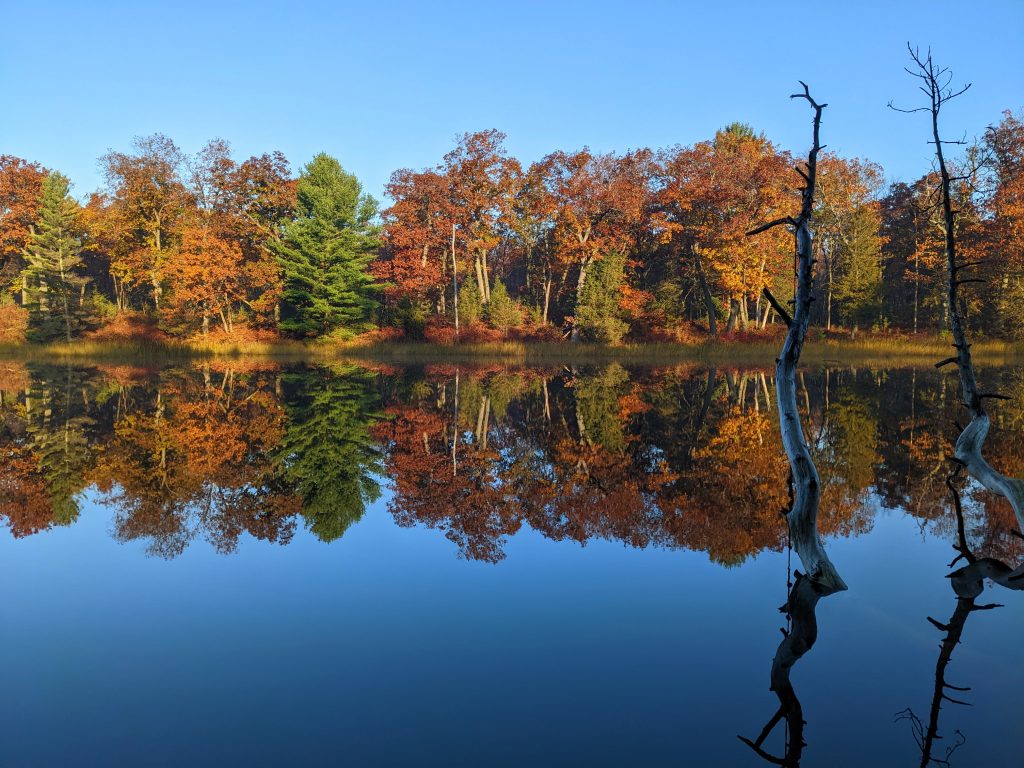 Trees with fall colours reflecting on a body of water at Pinery Provincial Park