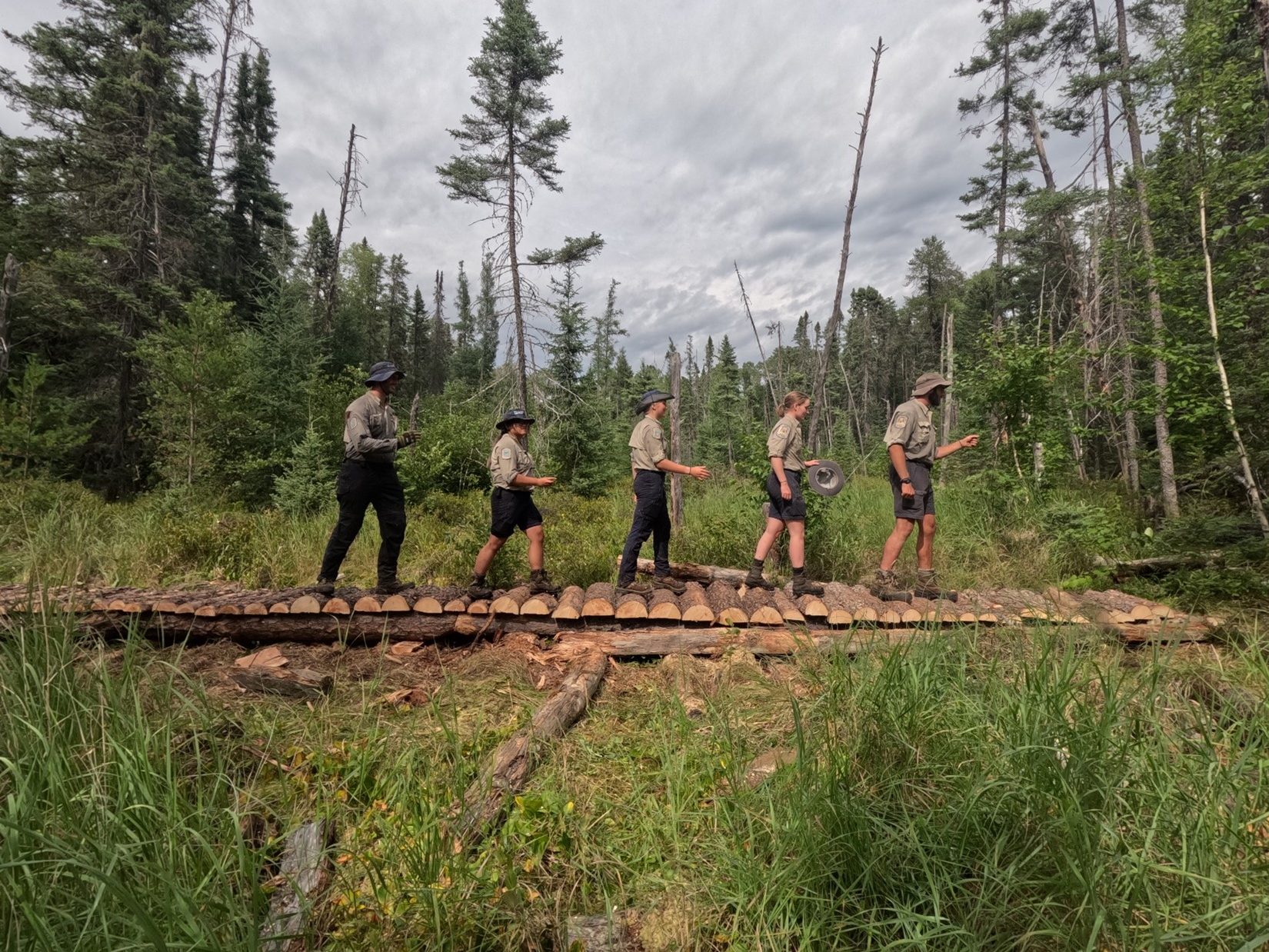 Five staff members posing along a new log boardwalk, like they're the Beatles' Abbey Road album cover