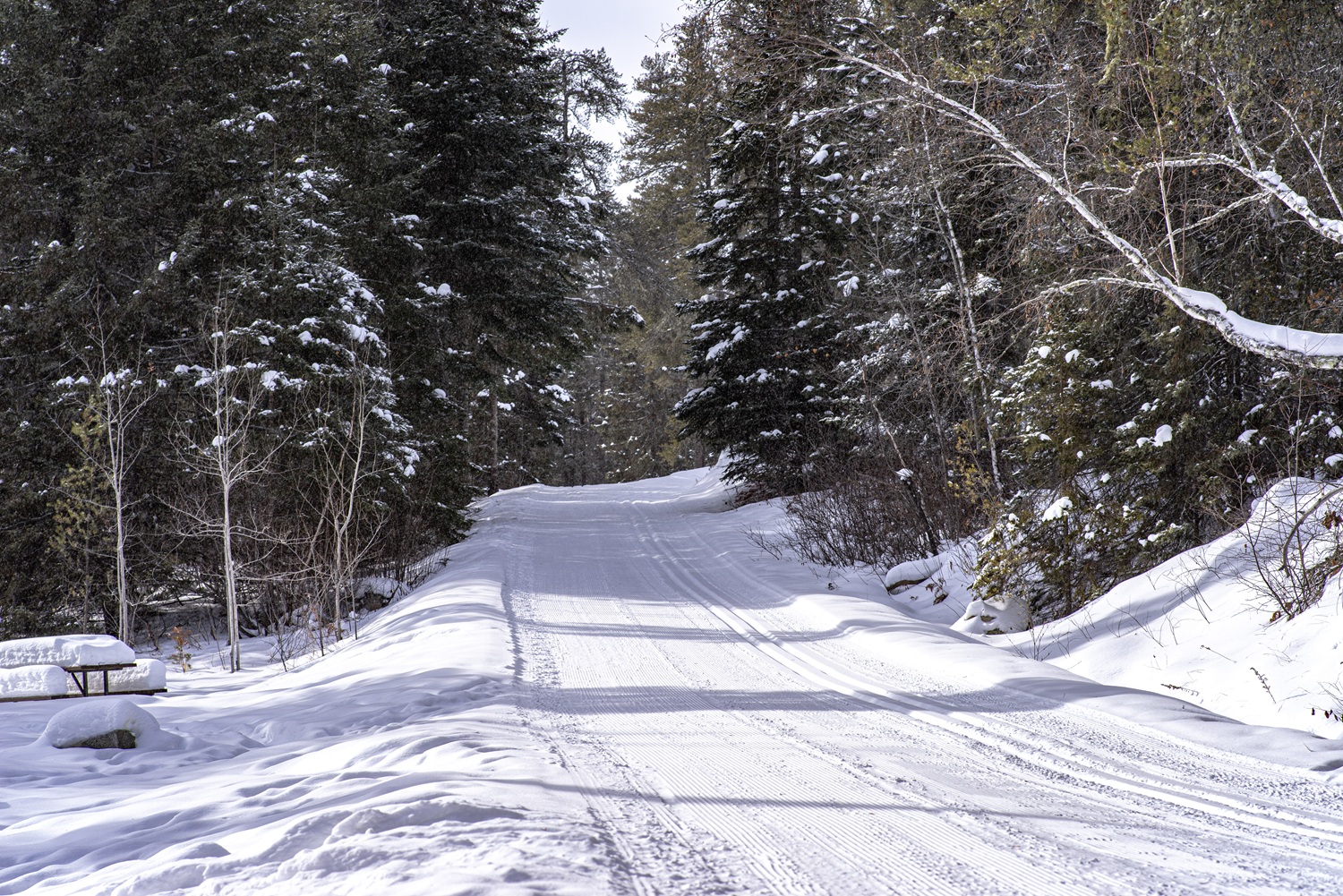 Campground road covered in snow.