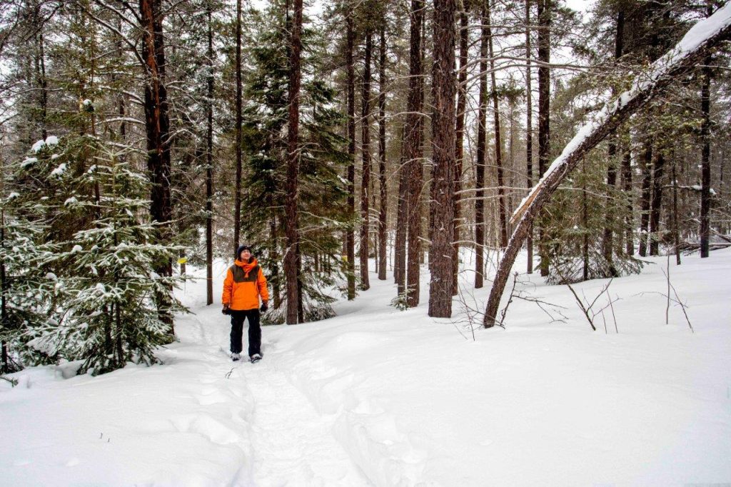 Randonneur en raquettes sur un sentier