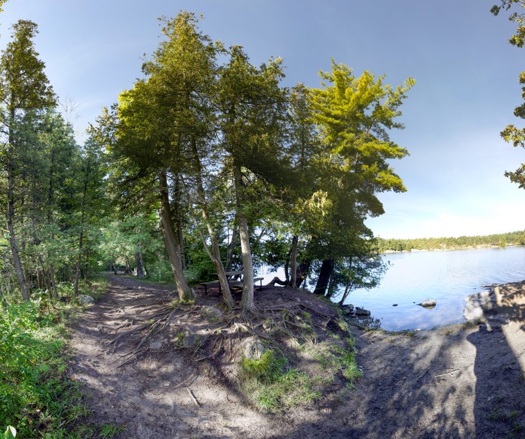 Dirt path leading to treed area along lake's shore