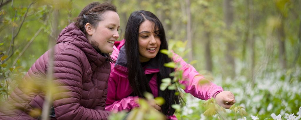 two visitors looking at trilliums in forest