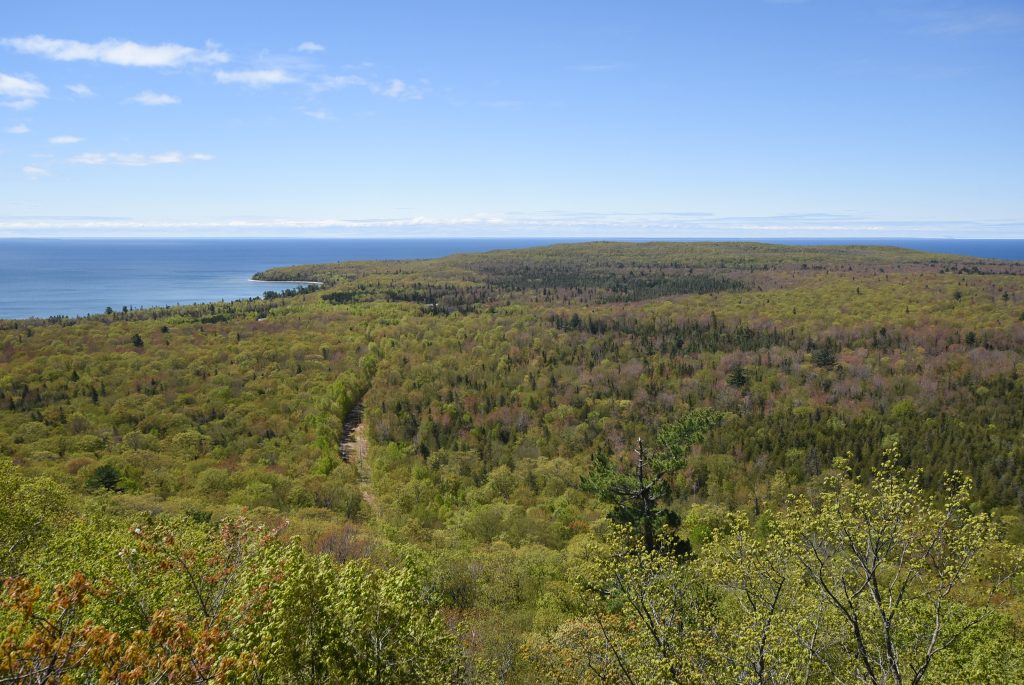 lookout view of forest and large lake