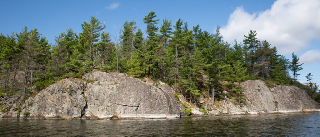 rocky shoreline with trees, lake in foreground