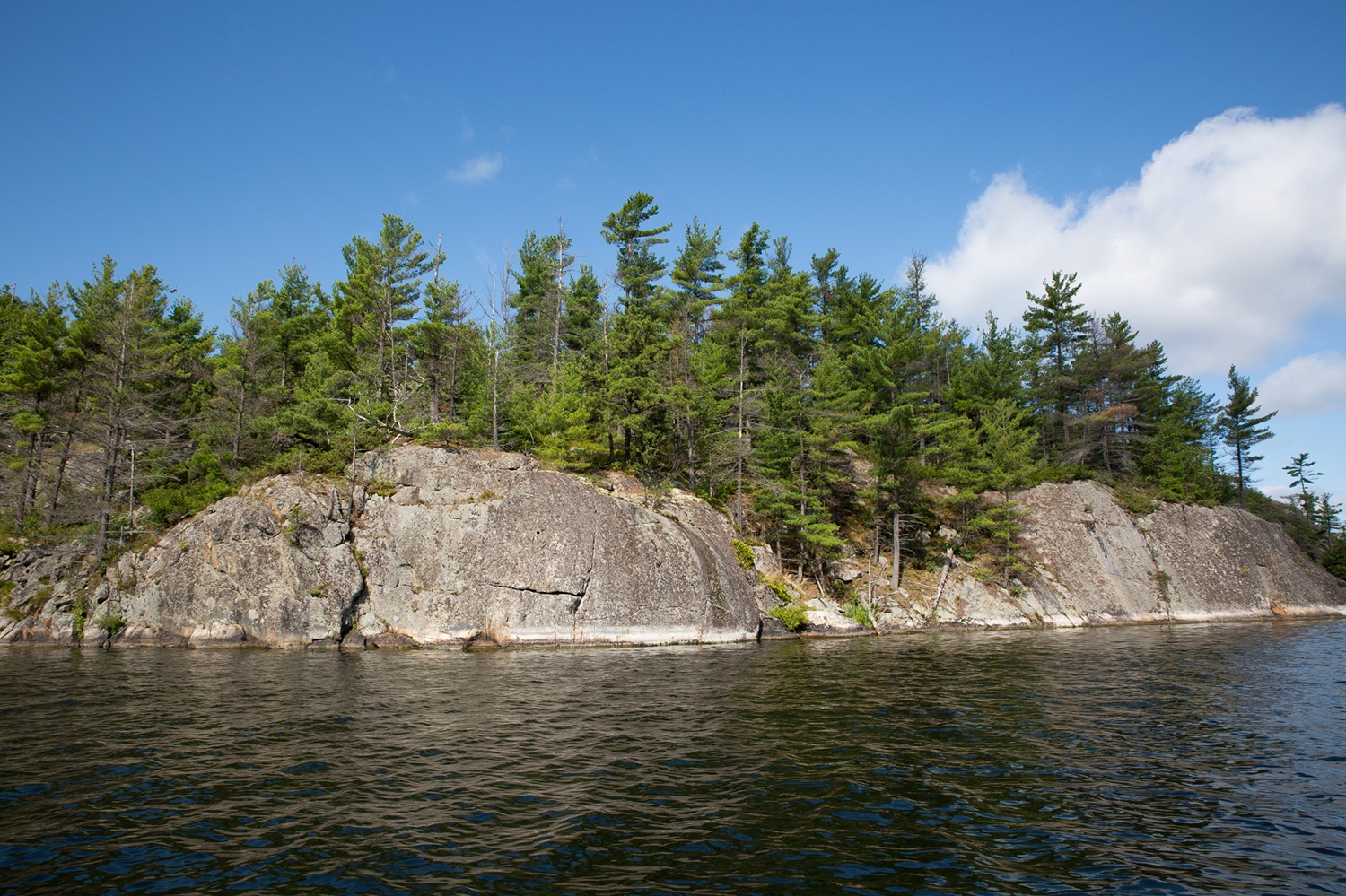 rocky shoreline with trees, lake in foreground