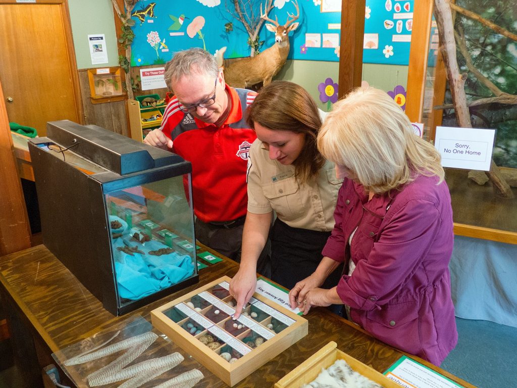 Discovery staff showing two people a collection of eggshells.