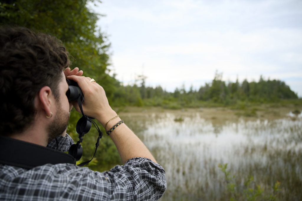 Person looking through binocular, viewing wetland