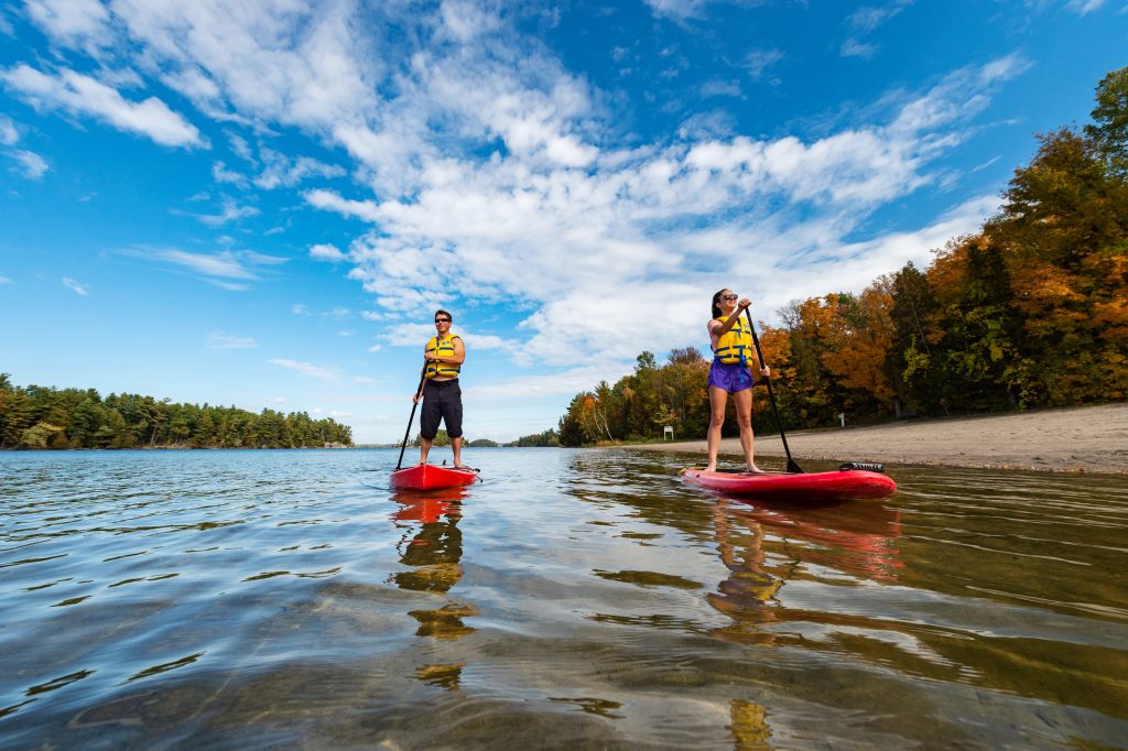 two people stand up paddleboarding on lake surrounded by fall colours