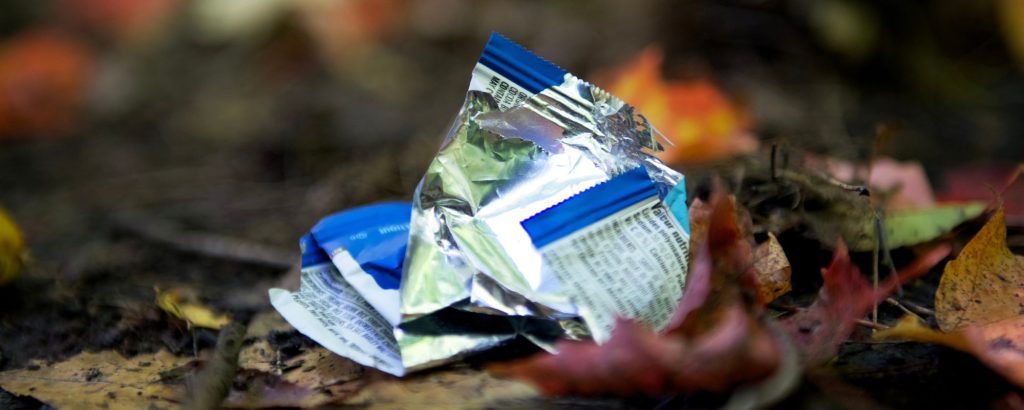 litter on forest floor