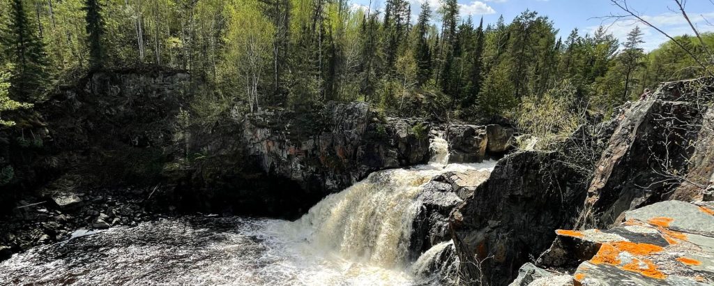 Waterfalls in a forest