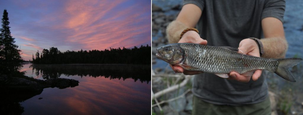 collage of sunset over lake and hands holding fish