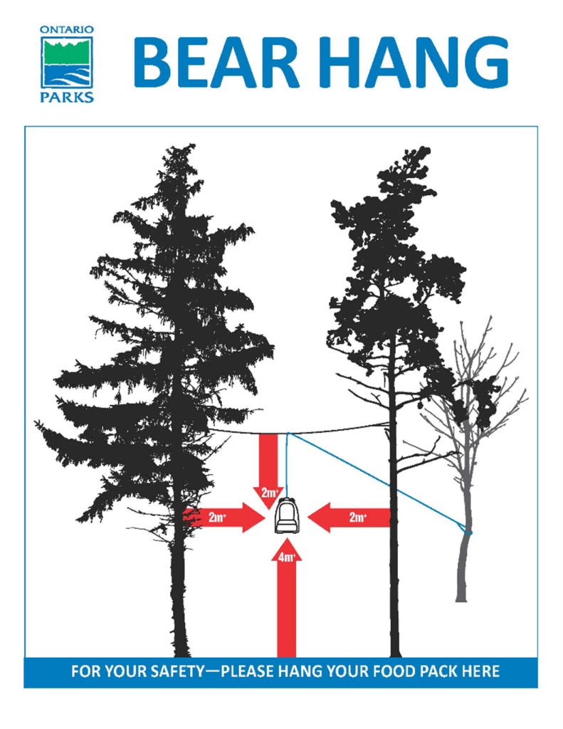 graphic of bear hang