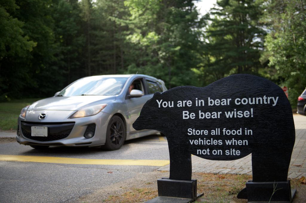 Bear country sign outside park