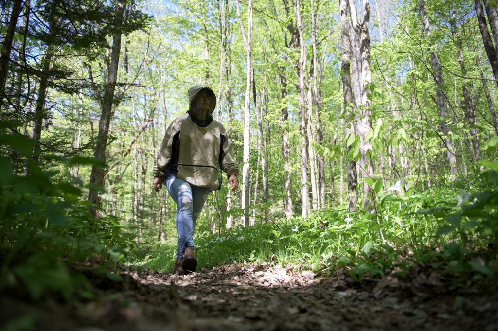 person walking through forest with bug net