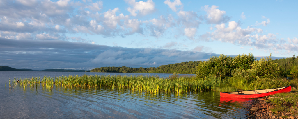 Lake with reeds and red canoe on the shore. Treed shores in the background. 