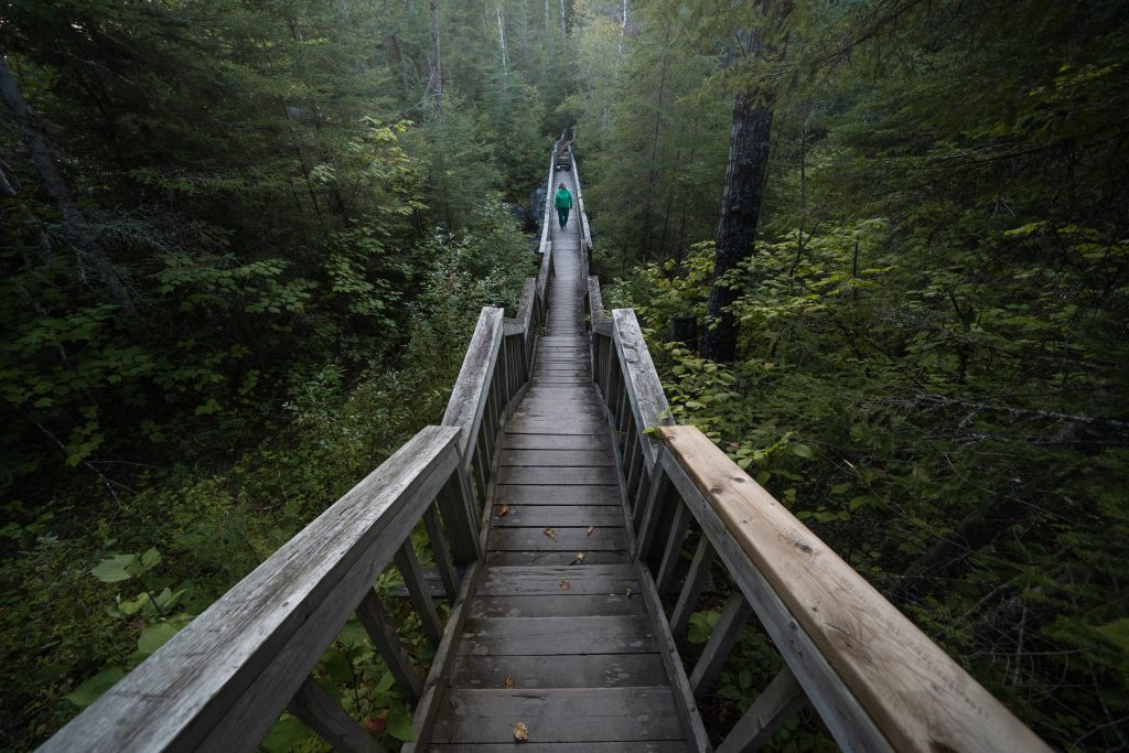 person walking on boardwalk through forest