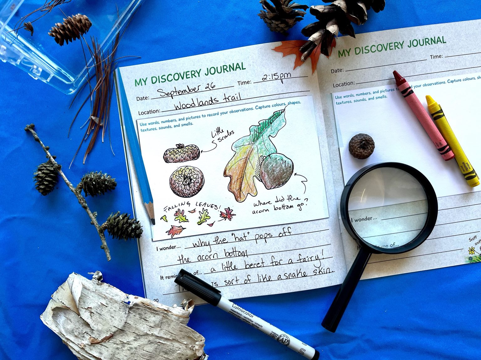 Your next adventure companion: the Discovery Activity Book - Ontario ...