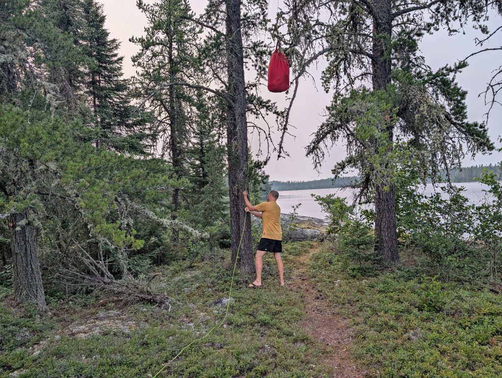 person hanging bear bag in forest
