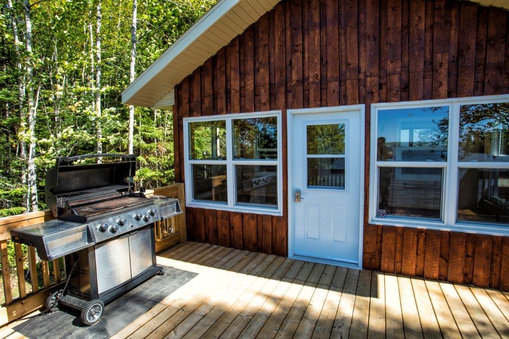 Exterior of wooden cabin with barbecue on porch