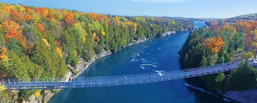 aerial view of suspension bridge over river with forest on either side