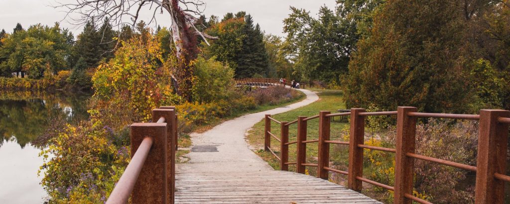 bridge over lake with fall colours