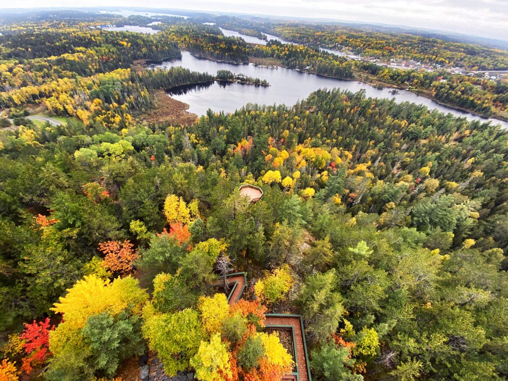 fall colours