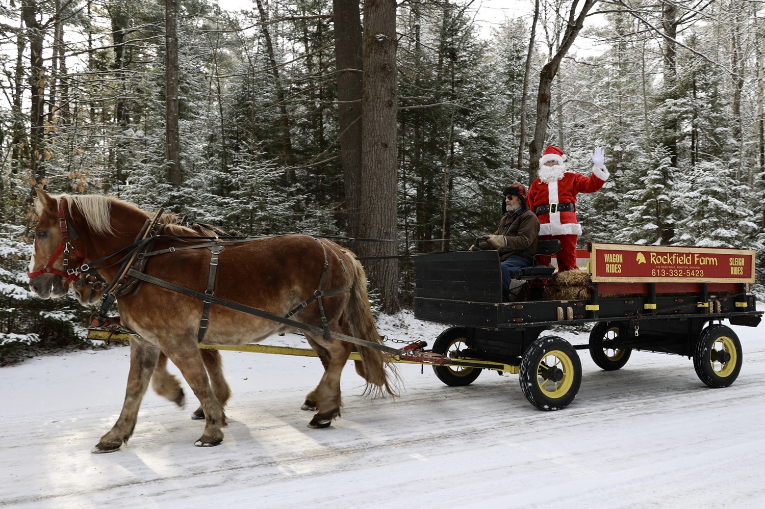 horse-drawn wagon in snowy forest, Santa riding in the wagon