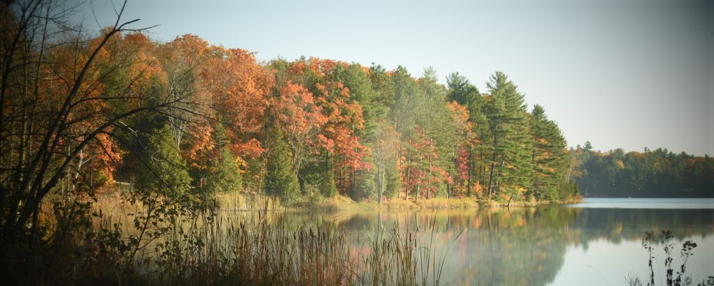 view of lake with fall colours surrounding