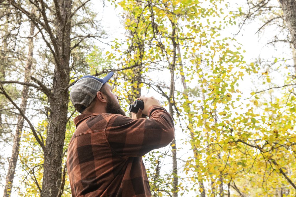 person birding in fall forest